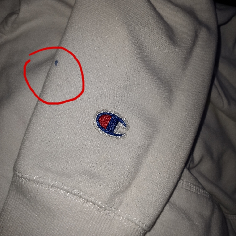 Boys Chanpion hoodie. - Picture 4 of 4